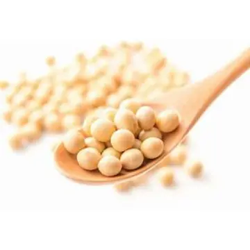 髪の毛を綺麗に保つ食べ物