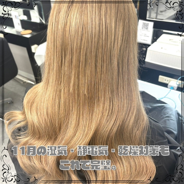 11月の湿気・静電気・乾燥対策もこれで完璧。