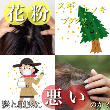 花粉が髪に及ぼす影響