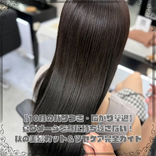 【10月のパサつき・広がり撃退】夏ダメージを冬に持ち越さない!秋の美髪カット&ツヤケア完全ガイド