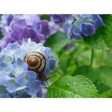 髪の毛の湿気対策